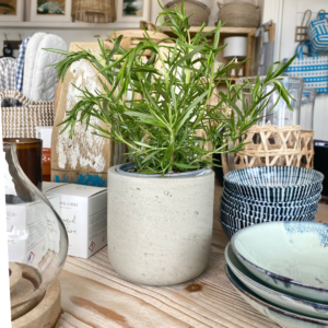 Stratton Plant Pot Small