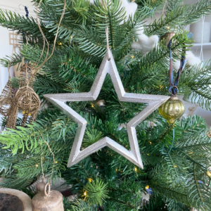 Silver Twinkle Star Large